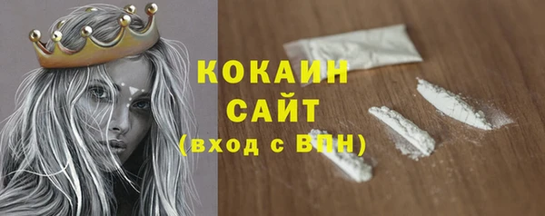 прущие крисы Надым