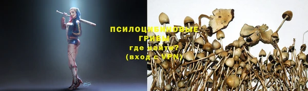 бошки Нея