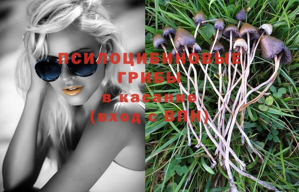 ПСИЛОЦИБИНОВЫЕ ГРИБЫ Анива