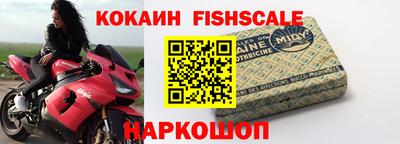дмт Кингисепп