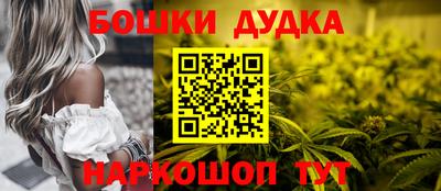 стаф Кинель