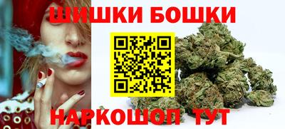 дмт Кингисепп