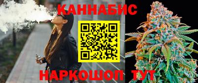 стаф Кинель
