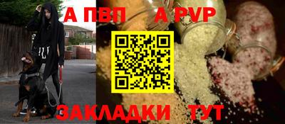 стаф Кинель