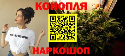 стаф Кинель
