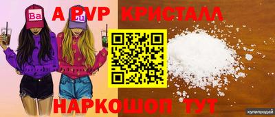 дмт Кингисепп