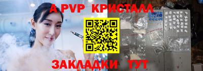 стаф Кинель