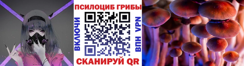Псилоцибиновые грибы MAGIC MUSHROOMS Муравленко