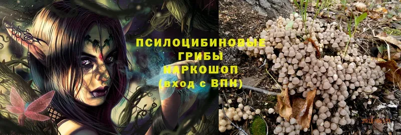 цены наркотик  Муравленко  Галлюциногенные грибы MAGIC MUSHROOMS 