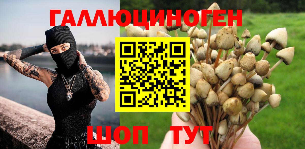 Муравленко  Псилоцибиновые грибы Magic Shrooms  Вход с VPN 